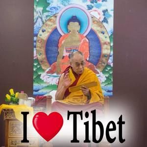 Meet your Posher, Tenzin